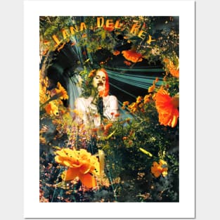 Lana Del Ray Posters and Art